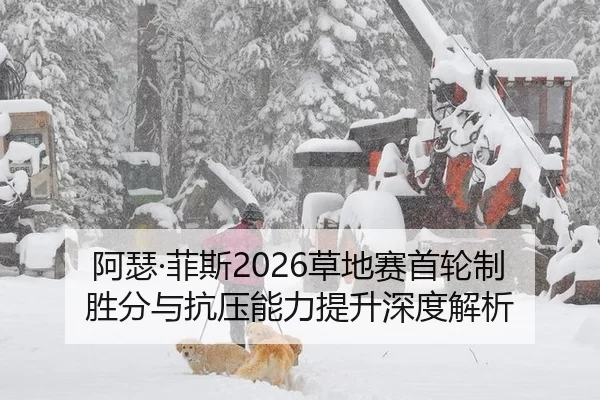 a-se-fei-si-cao-di-sai-shou-lun-zhi-sheng-fen-yu-kang-ya-neng-li-ti-sheng-shen-du-jie-xi-2-403.jpg