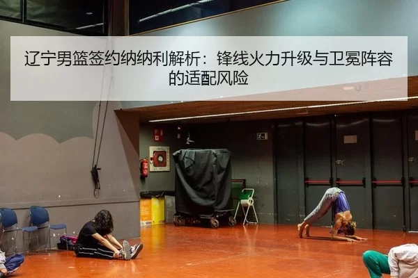 辽宁男篮签约纳纳利解析：锋线火力升级与卫冕阵容的适配风险